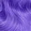 Lunar Periwinkle