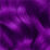 Plum Purple